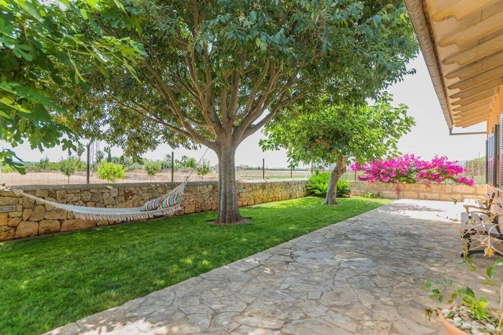 Finca Amer Sa Pobla Bagian luar foto