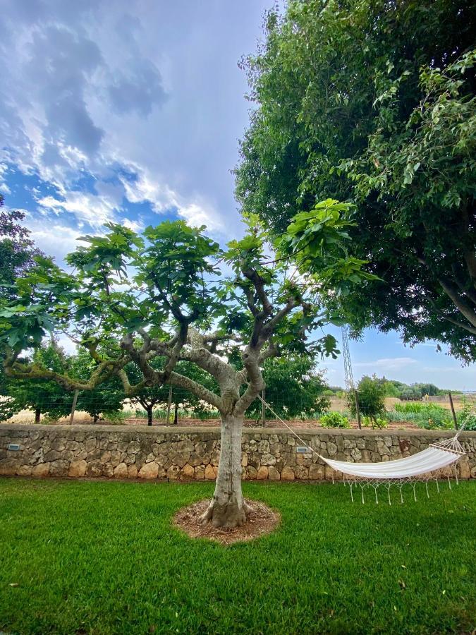 Finca Amer Sa Pobla Bagian luar foto